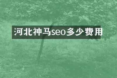 河北神马seo多少费用
