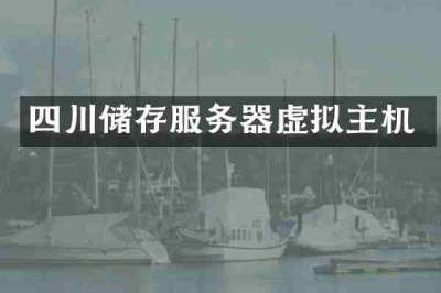 四川储存服务器虚拟主机