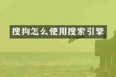 搜狗怎么使用搜索引擎