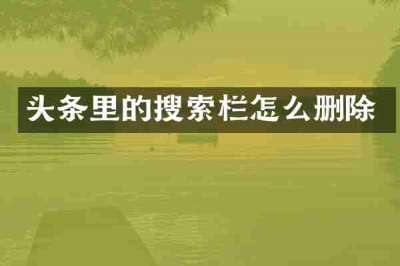 头条里的搜索栏怎么删除