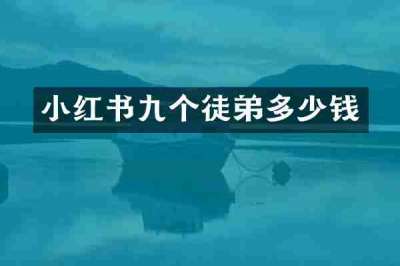 小红书九个徒弟多少钱