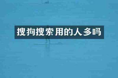搜狗搜索用的人多吗