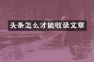 头条怎么才能收录文章
