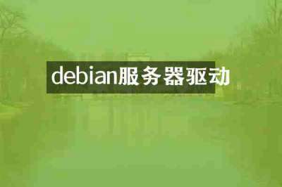 debian服务器驱动