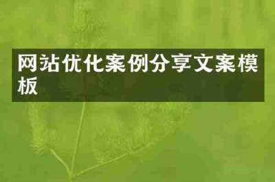 网站优化案例分享文案模板