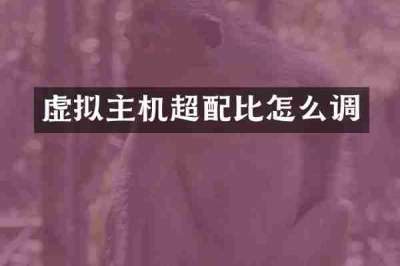 虚拟主机超配比怎么调