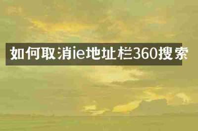 如何取消ie地址栏360搜索