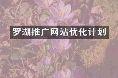 罗湖推广网站优化计划