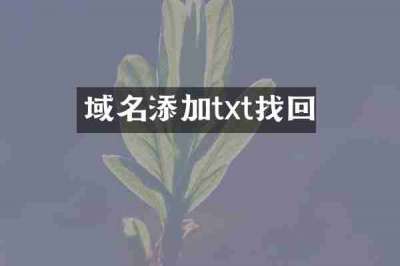 域名添加txt找回