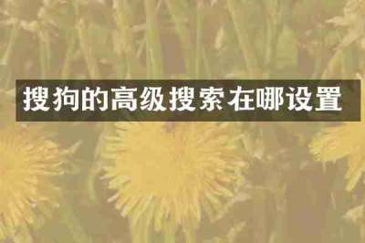 搜狗的高级搜索在哪设置