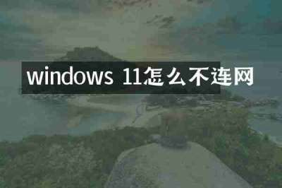 windows 11怎么不连网