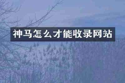 神马怎么才能收录网站