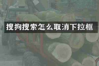 搜狗搜索怎么取消下拉框