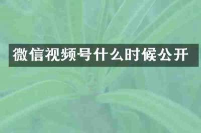 微信视频号什么时候公开