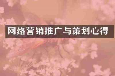 网络营销推广与策划心得