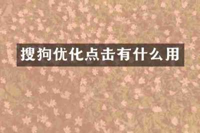 搜狗优化点击有什么用