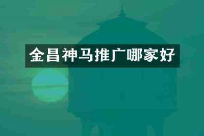 金昌神马推广哪家好