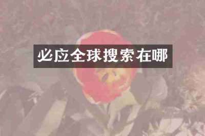 必应全球搜索在哪