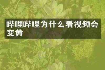 哔哩哔哩为什么看视频会变黄