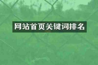 网站首页关键词排名