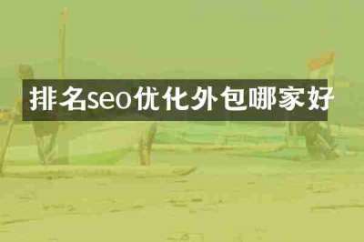 排名seo优化外包哪家好