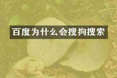 百度为什么会搜狗搜索