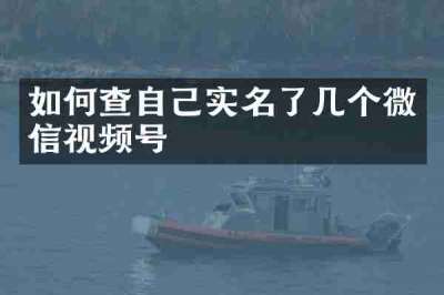 如何查自己实名了几个微信视频号