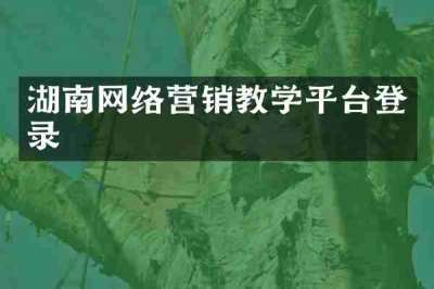 湖南网络营销教学平台登录
