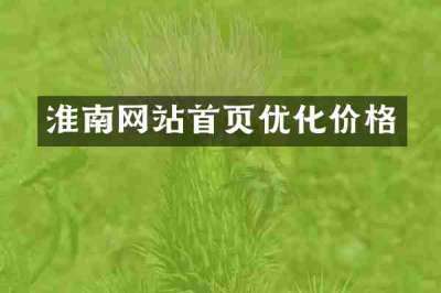 淮南网站首页优化价格