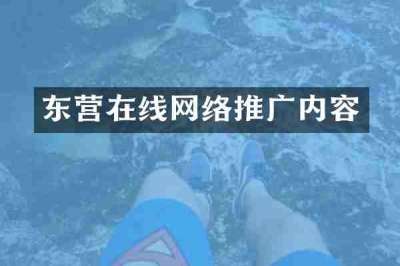 东营在线网络推广内容