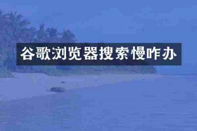 谷歌浏览器搜索慢咋办