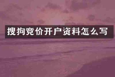 搜狗竞价开户资料怎么写