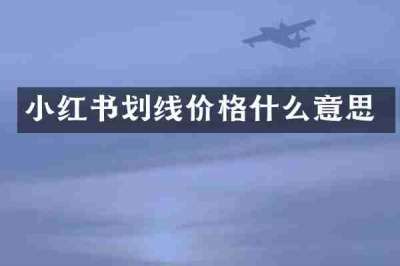 小红书划线价格什么意思