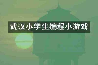 武汉小学生编程小游戏