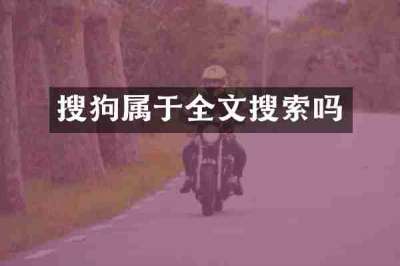 搜狗属于全文搜索吗