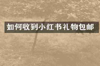 如何收到小红书礼物包邮