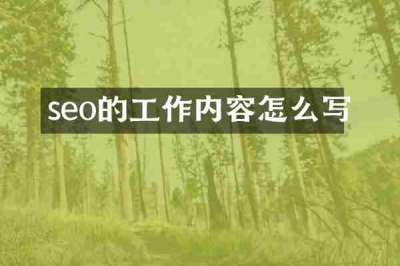 seo的工作内容怎么写
