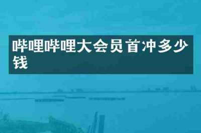 哔哩哔哩大会员首冲多少钱