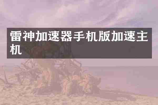 雷神加速器手机版加速主机