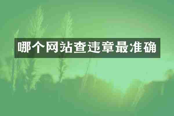 哪个网站查违章最准确
