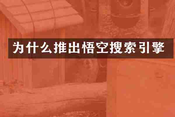 为什么推出悟空搜索引擎