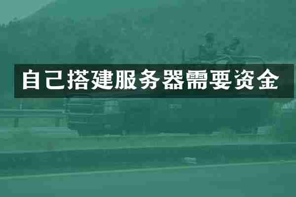 自己搭建服务器需要资金