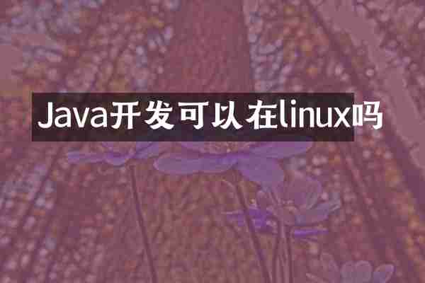 Java开发可以在linux吗