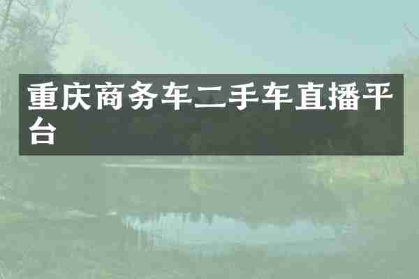 重庆商务车二手车直播平台