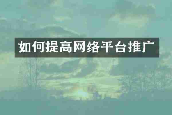 如何提高网络平台推广