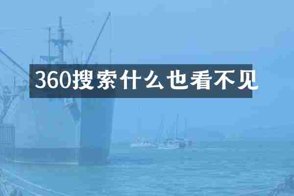 360搜索什么也看不见