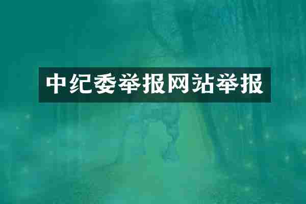 中纪委举报网站举报