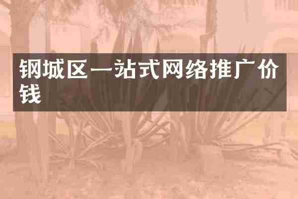 钢城区一站式网络推广价钱