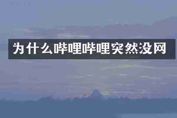 为什么哔哩哔哩突然没网