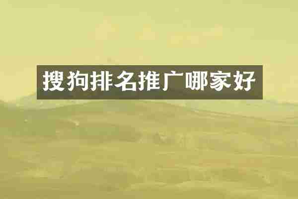 搜狗排名推广哪家好